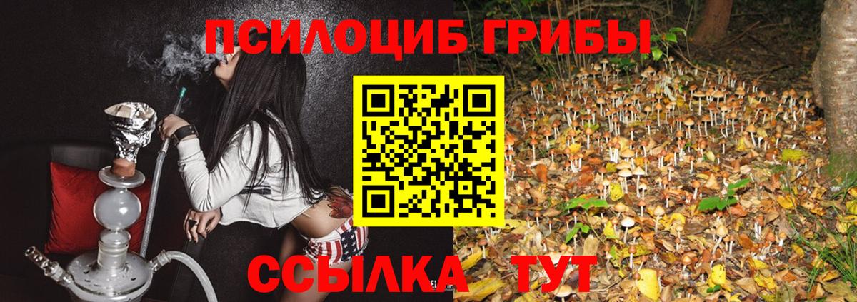 Череповец  Галлюциногенные грибы Magic Shrooms  Вход с VPN 